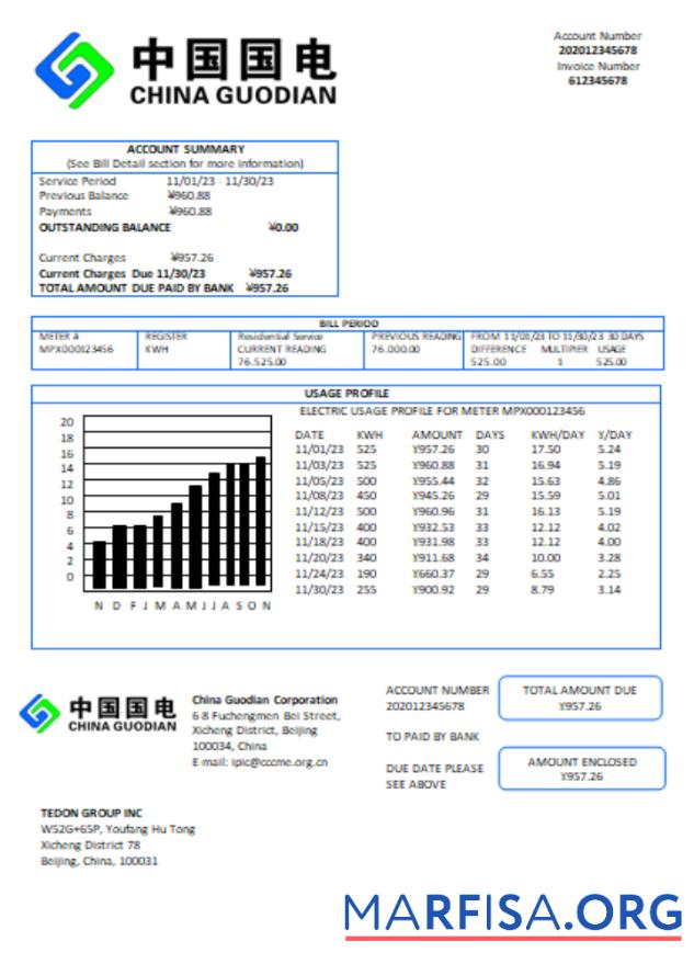 Printable China Guodian Corporation electricity utility business bill, SCR template